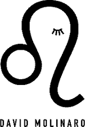 DAVID MOLINARO