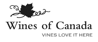 WINES OF CANADA VINES LOVE IT HERE