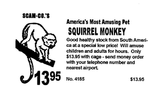 SCAM-CO.'S AMERICA'S MOST AMUSING PET SQUIRREL MONKEY GOOD HEALTHY STOCK FROM SOUTH AMERICA AT A SPECIAL LOW PRICE! WILL AMUSE CHILDREN AND ADULTS FOR HOURS.  ONLY $13.95 WITH CAGE - SEND MONEY ORDER WITH YOUR TELEPHONE NUMBER AND NEAREST AIRPORT.  1395 NO. 4185 $13.95