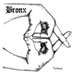 BRONX TRUE STORIE