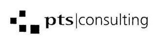 PTS CONSULTING