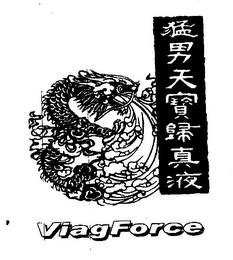 VIAGFORCE