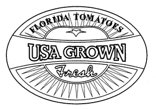 FLORIDA TOMATOES USA GROWN FRESH