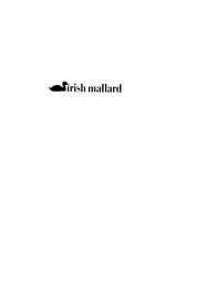 IRISH MALLARD
