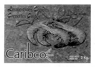 LANGOTINOS COCIDOS CREVETTES CUITES CARIBCO