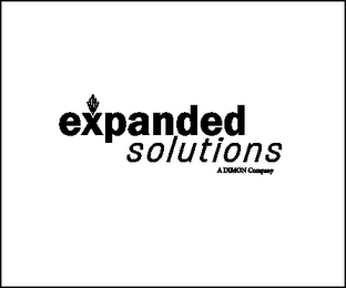 EXPANDED SOLUTIONS A DIMON COMPANY