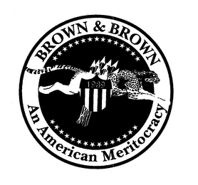 BROWN & BROWN AN AMERICAN MERITOCRACY 1939