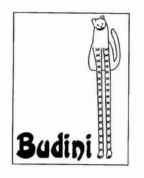 BUDINI