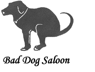 BAD DOG SALOON