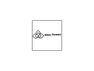 ALPES FLOWERS