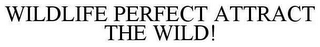 WILDLIFE PERFECT ATTRACT THE WILD!