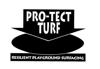 PRO-TECT TURF RESILIENT PLAYGROUND SURFACING
