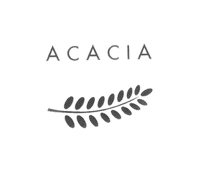 ACACIA & DESIGN