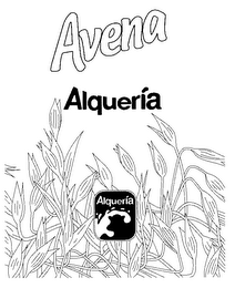 AVENA ALQUERIA