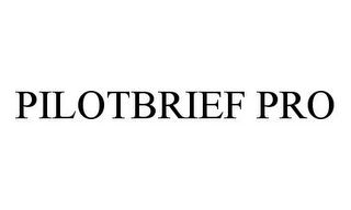 PILOTBRIEF PRO