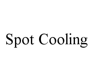 SPOT COOLING