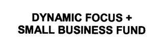 DYNAMIC FOCUS + SMALL BUSINESS FUND