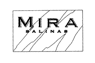 M MIRA SALINAS