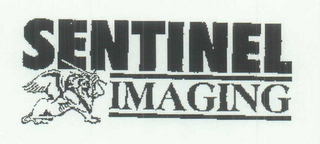 SENTINEL IMAGING