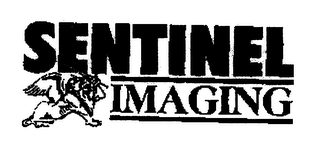 SENTINEL IMAGING