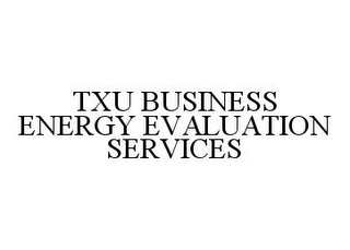 TXU BUSINESS ENERGY EVALUATION SERVICES