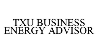 TXU BUSINESS ENERGY ADVISOR