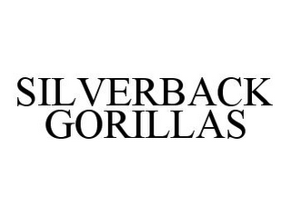 SILVERBACK GORILLAS
