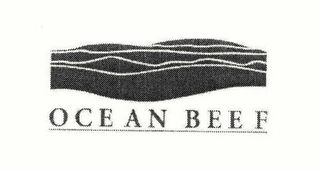 OCEAN BEEF