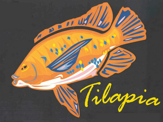 TILAPIA