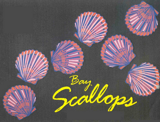 BAY SCALLOPS