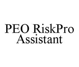 PEO RISKPRO ASSISTANT