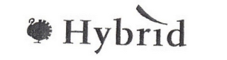 HYBRID