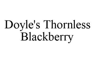 DOYLE'S THORNLESS BLACKBERRY