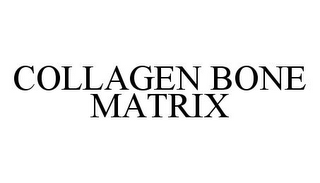 COLLAGEN BONE MATRIX