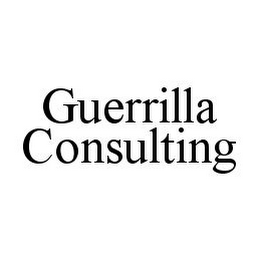 GUERRILLA CONSULTING