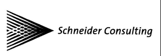 SCHNEIDER CONSULTING