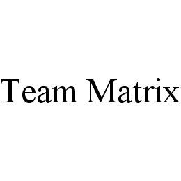 TEAM MATRIX