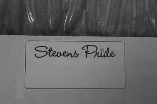 STEVENS PRIDE