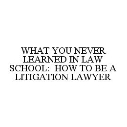 WHAT YOU NEVER LEARNED IN LAW SCHOOL: HOW TO BE A LITIGATION LAWYER