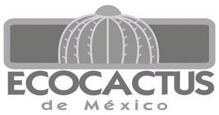 ECOCACTUS DE MEXICO