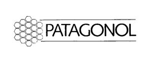 PATAGONOL