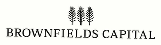 BROWNFIELDS CAPITAL