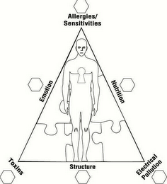 ALLERGIES/SENSITIVITIES NUTRITION ELECTRICAL POLLUTION STRUCTURE TOXINS EMOTION