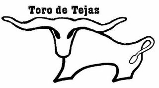 TORO DE TEJAS