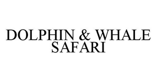 DOLPHIN & WHALE SAFARI