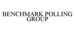 BENCHMARK POLLING GROUP