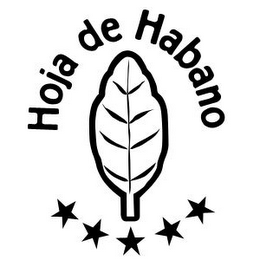 HOJA DE HABANO