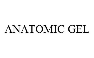 ANATOMIC GEL