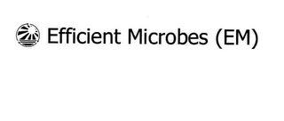 EFFICIENT MICROBES (EM)