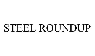 STEEL ROUNDUP